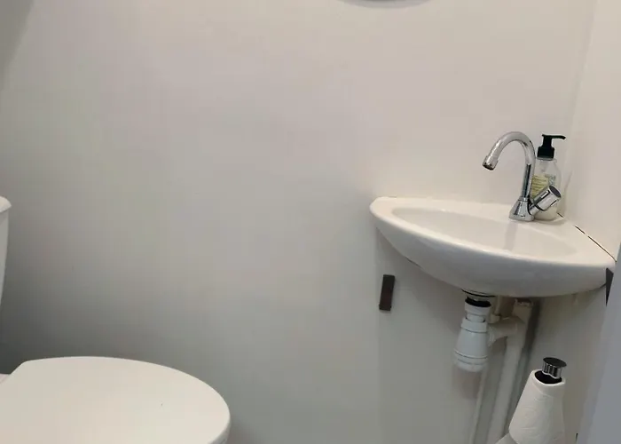 Daire Grand 3 Pieces, Terrasse Au Sud Et A 80m